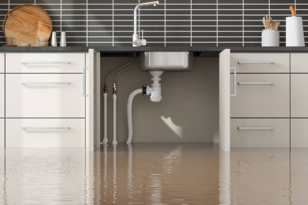 Best Water damage restoration near me  in Hamlin, TX
