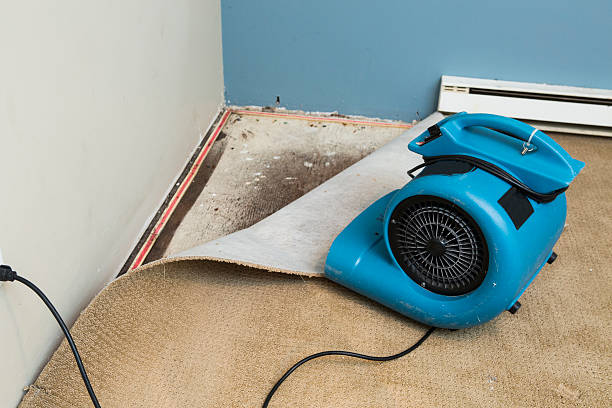 Best Flooded house restoration  in Hamlin, TX
