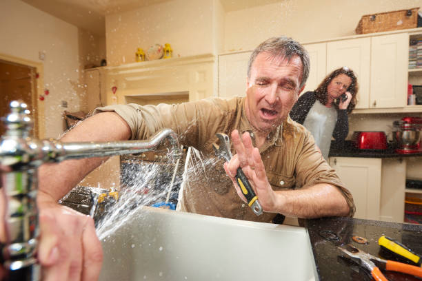 Best Mold removal after water damage  in Hamlin, TX